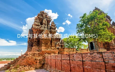 DMS与其他系统的集成(什么是DMS)