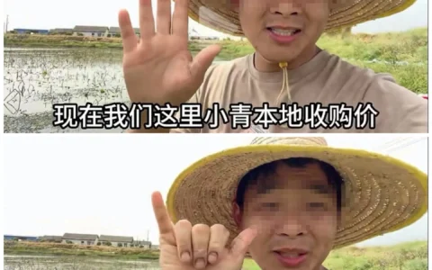 小龙虾旺季不旺，产地价格暴跌至个位数！这届小龙虾咋卖不动了呢